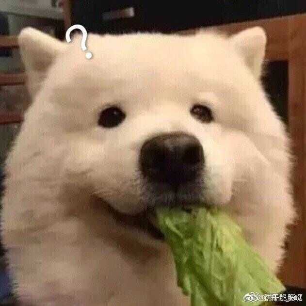 买买买